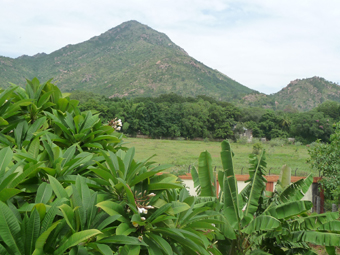 Arunachala