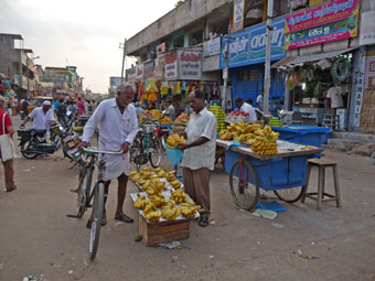 Bananen in Tiru