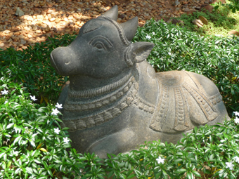 Nandi